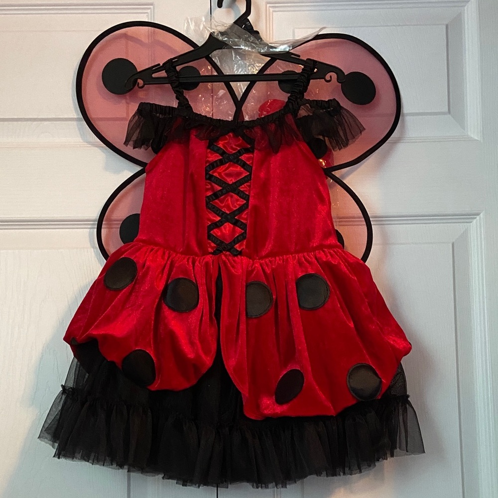 Charming Kids 3 Peice Ladybug Costume - Red and Black